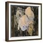 Faded Roses, 1905 (W/C on Paper)-Charles Rennie Mackintosh-Framed Giclee Print