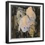 Faded Roses, 1905 (W/C on Paper)-Charles Rennie Mackintosh-Framed Giclee Print