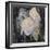 Faded Roses-Charles Rennie Mackintosh-Framed Giclee Print