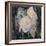 Faded Roses-Charles Rennie Mackintosh-Framed Giclee Print