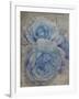 Faded Roses-Collezione Botanica-Framed Giclee Print