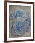 Faded Roses-Collezione Botanica-Framed Giclee Print