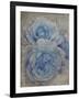 Faded Roses-Collezione Botanica-Framed Giclee Print