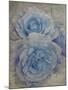 Faded Roses-Collezione Botanica-Mounted Giclee Print