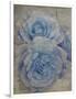 Faded Roses-Collezione Botanica-Framed Giclee Print