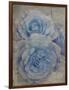 Faded Roses-Collezione Botanica-Framed Giclee Print