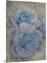 Faded Roses-Collezione Botanica-Mounted Giclee Print