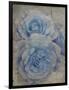 Faded Roses-Collezione Botanica-Framed Giclee Print