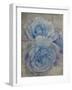 Faded Roses-Collezione Botanica-Framed Giclee Print