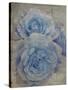 Faded Roses-Collezione Botanica-Stretched Canvas