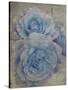 Faded Roses-Collezione Botanica-Stretched Canvas