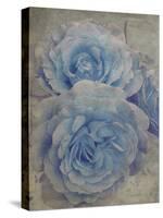 Faded Roses-Collezione Botanica-Stretched Canvas