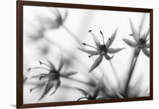 Faded Sensitivity (1)-Jacob Berghoef-Framed Photographic Print