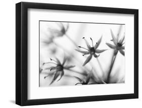 Faded Sensitivity (1)-Jacob Berghoef-Framed Photographic Print