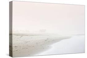 Faded Shoreline-Irene Suchocki-Stretched Canvas