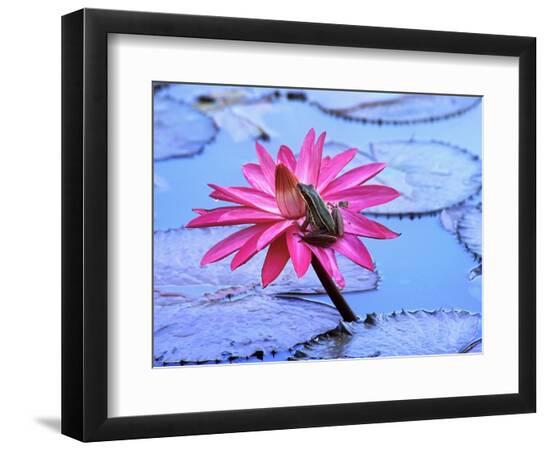 Premium Photographic Print, , large