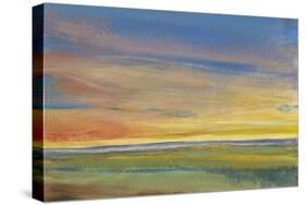 Fading Light I-Tim O'toole-Stretched Canvas