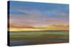 Fading Light II-Tim O'toole-Stretched Canvas