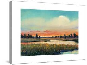 Fading Light-Tim O'toole-Stretched Canvas