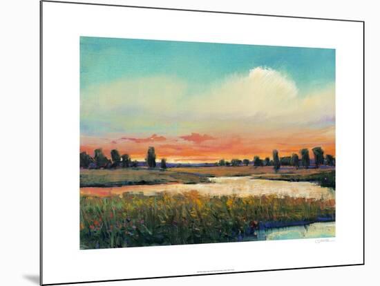 Fading Light-Tim O'toole-Mounted Art Print