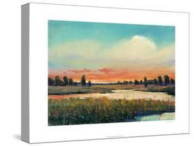 Fading Light-Tim O'toole-Stretched Canvas