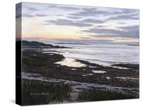 Fading Llight-Bruce Dumas-Stretched Canvas