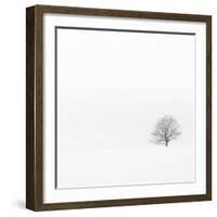 Fadoo-David Baker-Framed Photographic Print