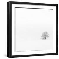 Fadoo-David Baker-Framed Photographic Print