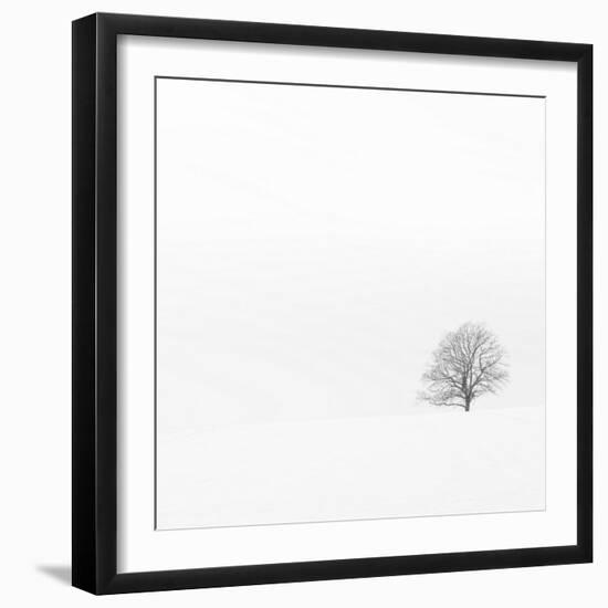 Fadoo-David Baker-Framed Photographic Print