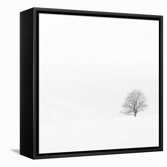 Fadoo-David Baker-Framed Stretched Canvas