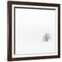 Fadoo-David Baker-Framed Photographic Print