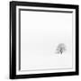 Fadoo-David Baker-Framed Photographic Print