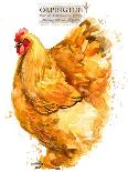 Orpington Hen. Poultry Farming. Chicken Breeds Series. Domestic Farm Bird-Faenkova Elena-Art Print