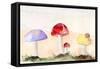 Faerie Mushrooms II-Alicia Ludwig-Framed Stretched Canvas