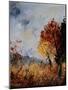 Fagnes 4501007-Pol Ledent-Mounted Art Print