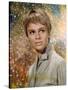 FAHRENHEIT 451, 1966 directed by FRANCOIS TRUFFAUT Julie Christie (photo)-null-Stretched Canvas