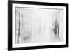 Faint Memories-Jacob Berghoef-Framed Photographic Print