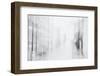Faint Memories-Jacob Berghoef-Framed Photographic Print