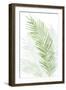 Faint Palms I-Grace Popp-Framed Art Print