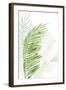 Faint Palms II-Grace Popp-Framed Art Print