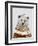 Fair Isle Bear II-Victoria Borges-Framed Art Print