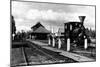 Fairbanks, Alaska - View of the Train Station-Lantern Press-Mounted Art Print