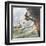 Fairbanks-Vittorio Pisani-Framed Art Print