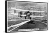 Fairey III F Reconnaissance Plane Taking of from the Aircraft Carrier HMS Courageous, 1937-null-Framed Stretched Canvas