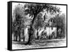Fairfax Courthouse, Virginia, C1880-null-Framed Stretched Canvas