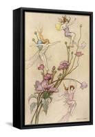 Fairies and Flowers-Warwick Goble-Framed Stretched Canvas