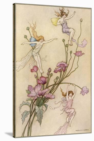 Fairies and Flowers-Warwick Goble-Stretched Canvas