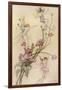 Fairies and Flowers-Warwick Goble-Framed Photographic Print