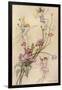 Fairies and Flowers-Warwick Goble-Framed Photographic Print