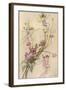 Fairies and Flowers-Warwick Goble-Framed Photographic Print